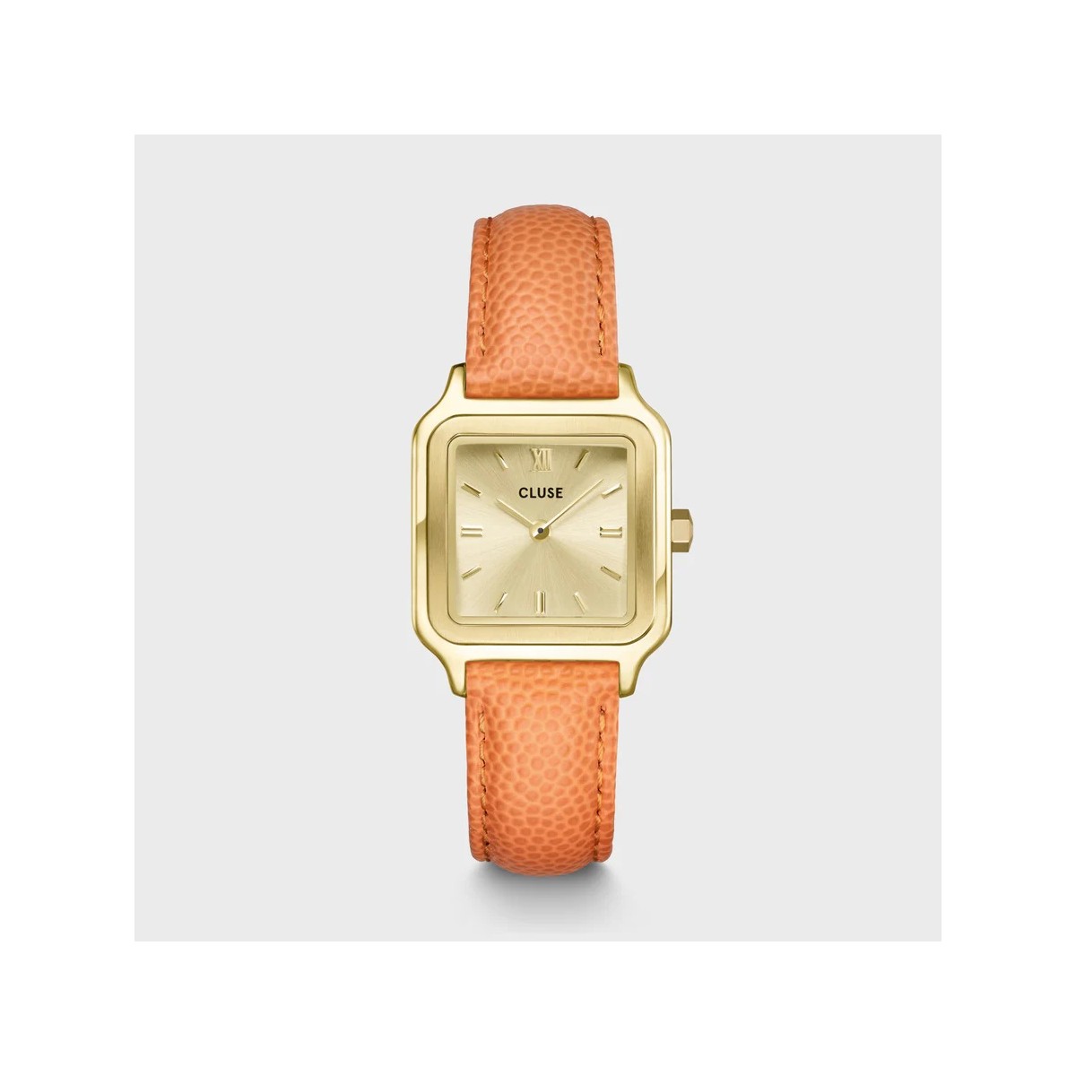 Reloj de mujer Gracieuse CLUSE CW11808