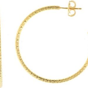 Pendientes SALVATORE PLATA 203A0299