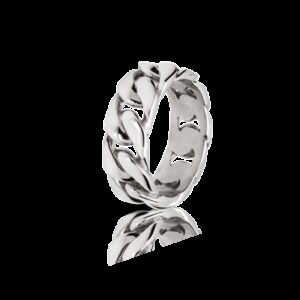 Anillo de hombre Dandy ROCHET HA0762